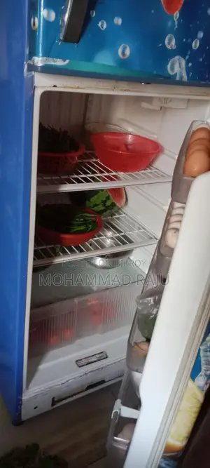 Singer Fridge