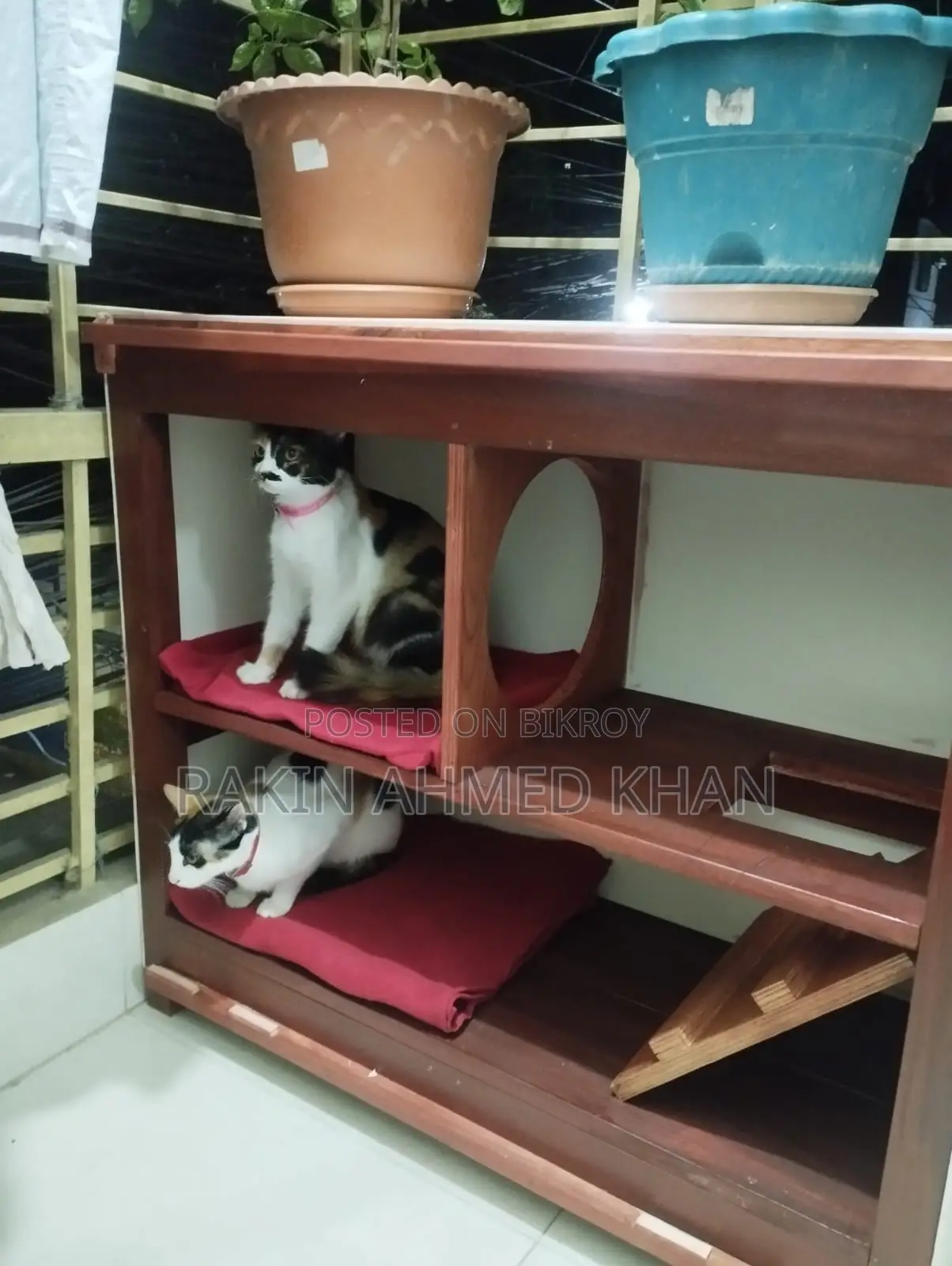বিড়ালের বাসা ( আউটডোর/ইনডোর)