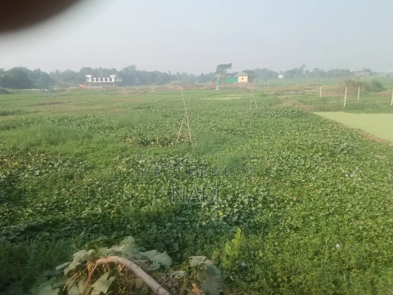 Land for sale