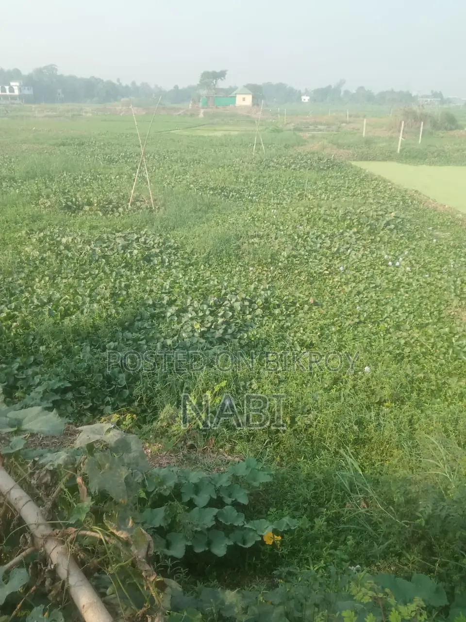 Land for sale