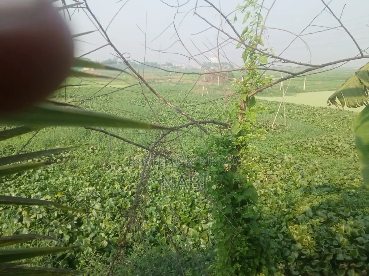 Land for sale