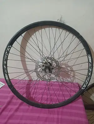 Phoenix Bicycle Rim 26" back and font