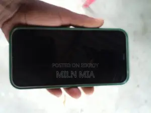Apple iPhone 12 (Used)