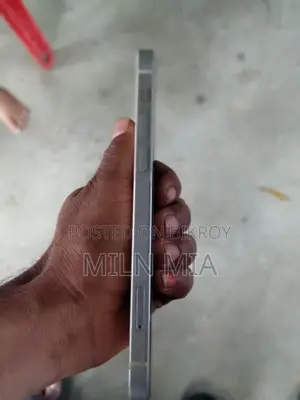 Apple iPhone 12 (Used)