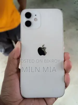 Apple iPhone 12 (Used)