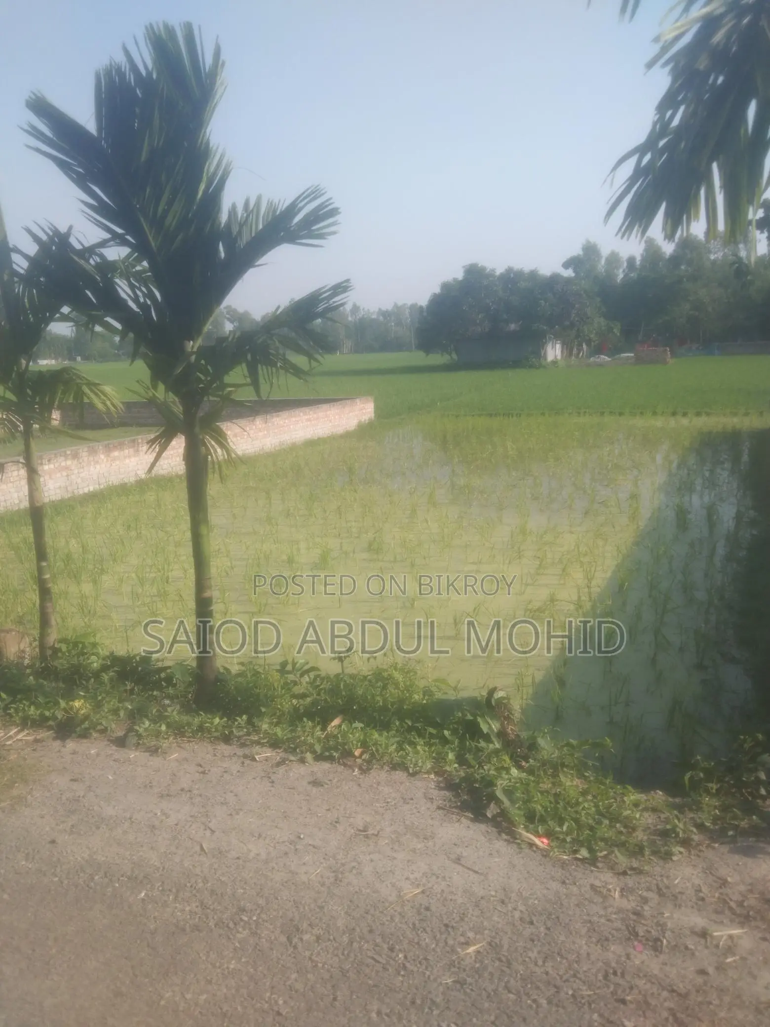 Land for Sale