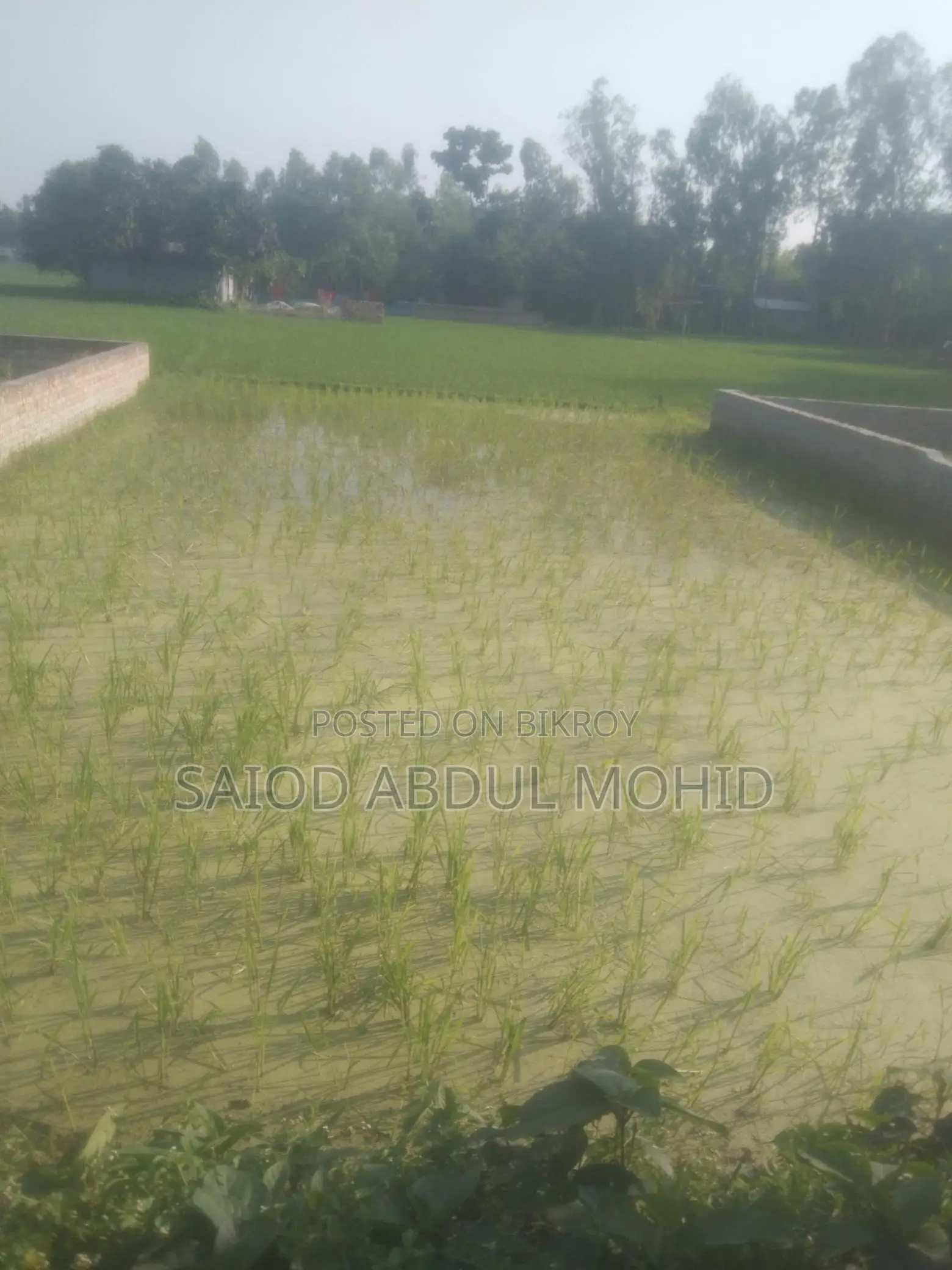 Land for Sale