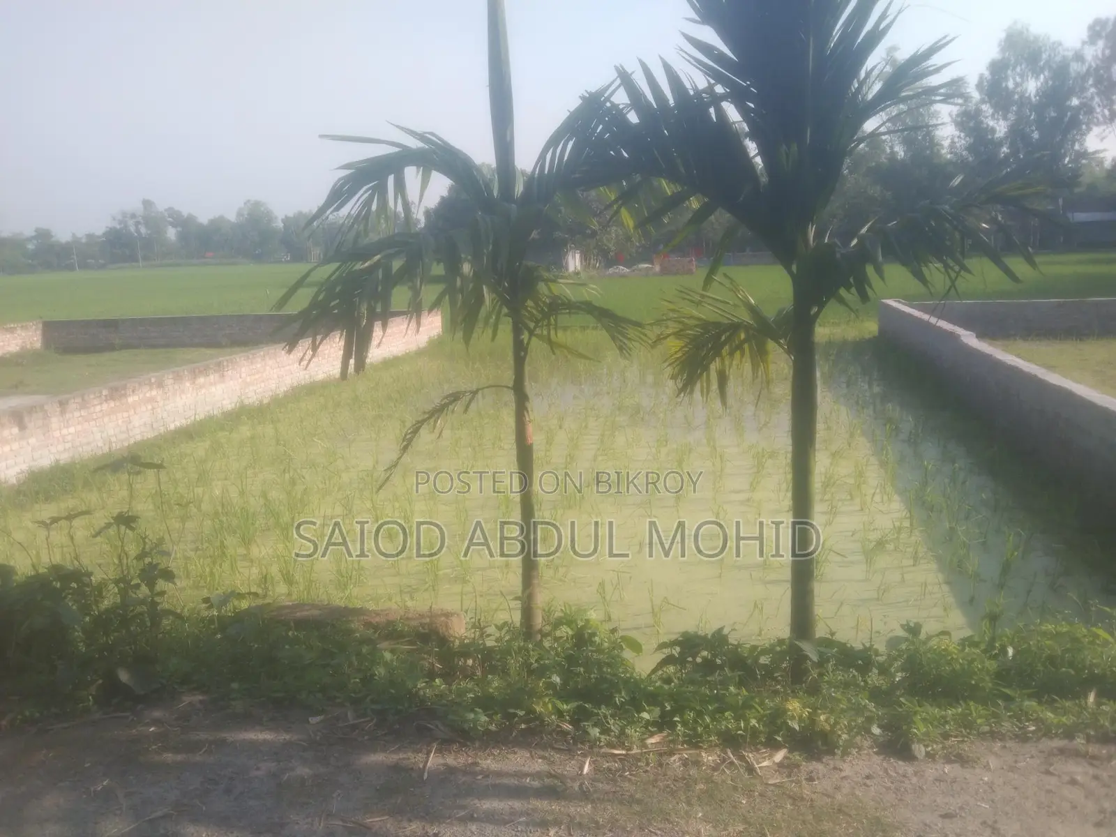 Land for Sale