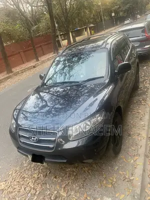 Hyundai Santa Fe 2009