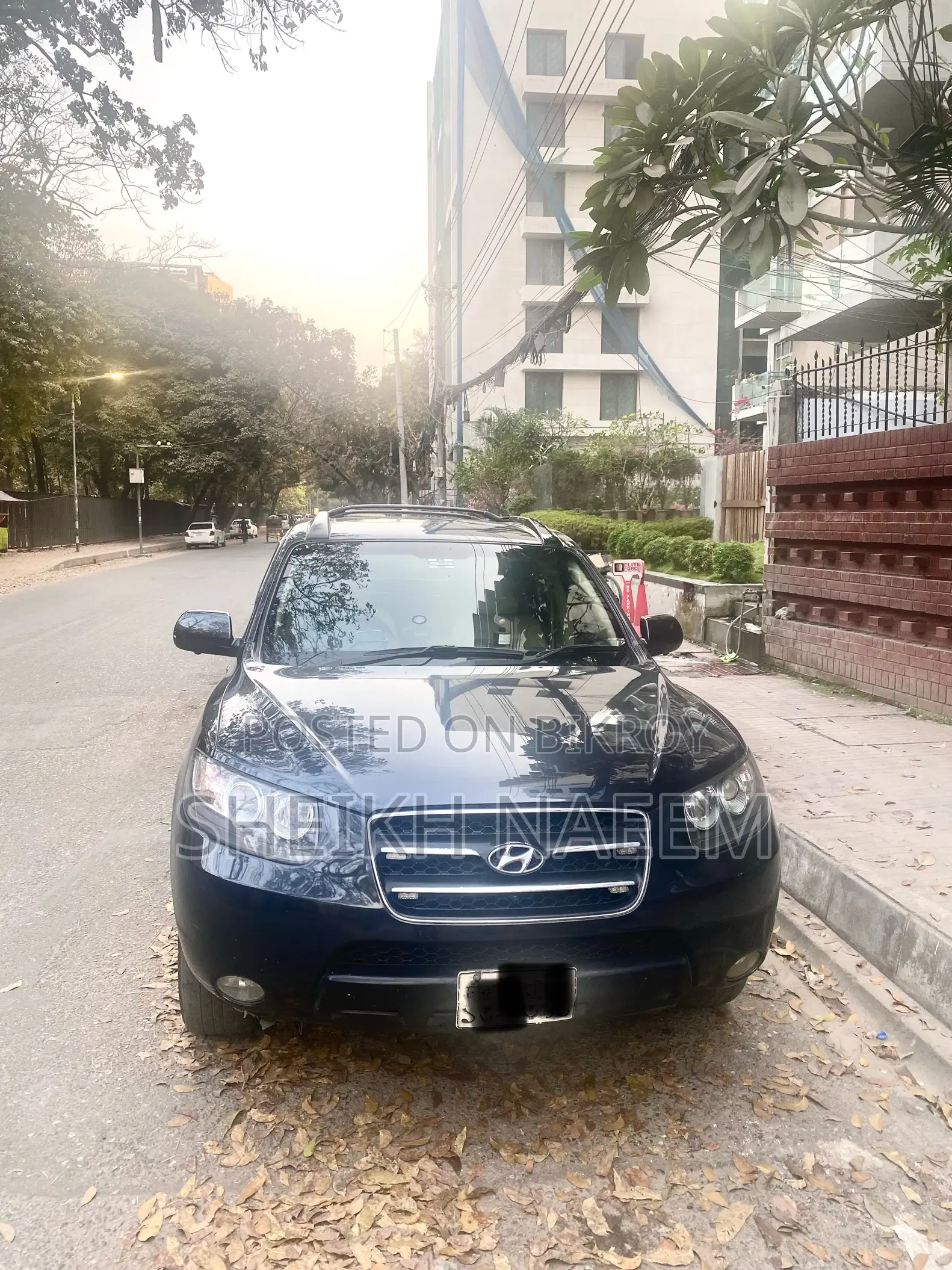 Hyundai Santa Fe 2009