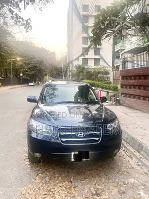 Hyundai Santa Fe 2009
