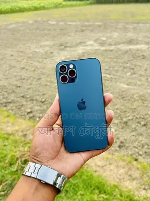 Apple iPhone 12 Pro (Used)