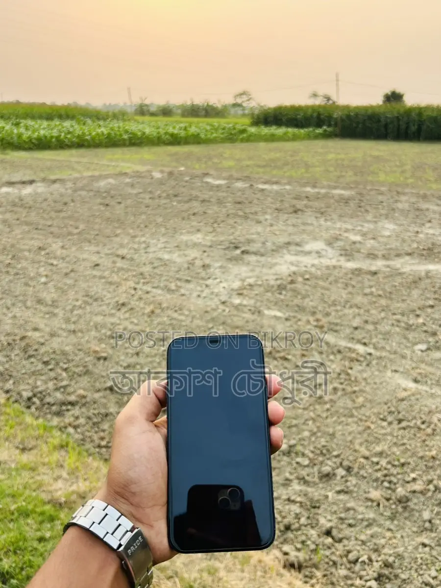 Apple iPhone 12 Pro (Used)
