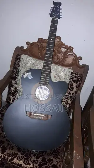 Acoustic Guitar