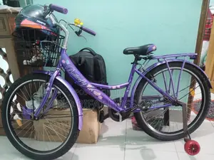 Ladies Bicycle
