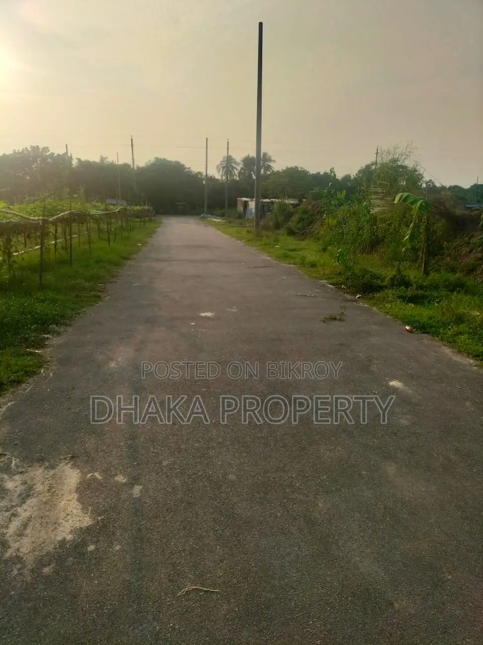 46ft Road, 3 Katha Park West at Sector-9