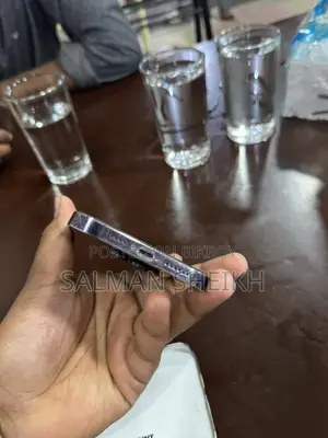 Apple iPhone 14 Pro Max (Used)