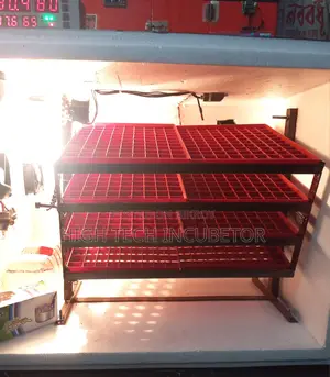 1000 Setter 200 Hatcher Incubator (Egg to Chick)