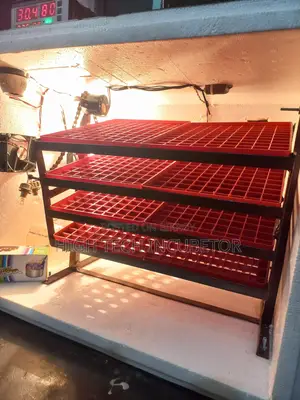 1000 Setter 200 Hatcher Incubator (Egg to Chick)