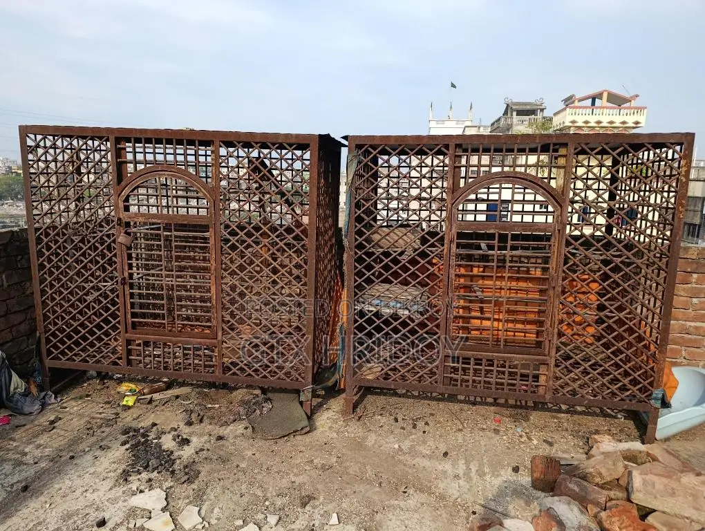 Pigeon Cage
