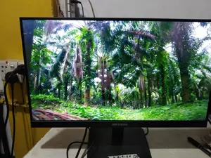 22 Inch IPS Borderless Monitor Hikvision