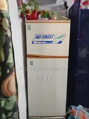 Japanese Fridge