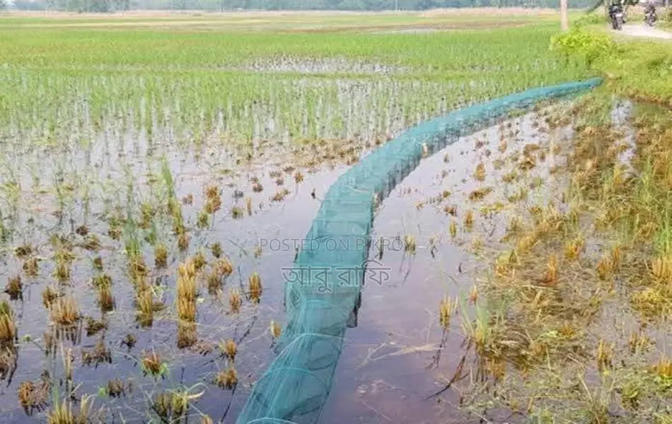 Chinese Fishing Net