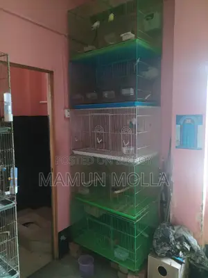 ৫ পিস অরিজিনাল চাইনিজ খাঁচা