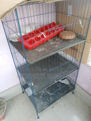 মুড়গি ও কবুতরের খাচা