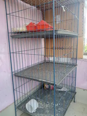মুড়গি ও কবুতরের খাচা