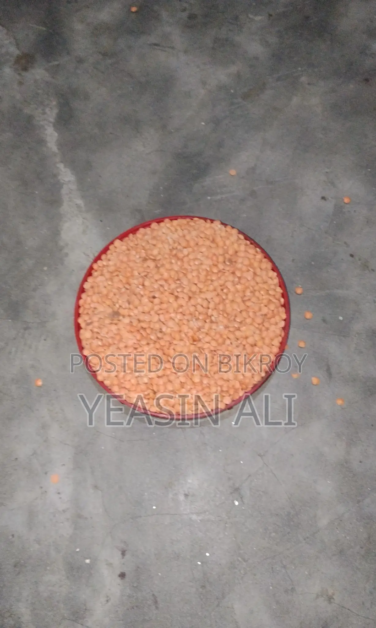 মুসুর ডাল