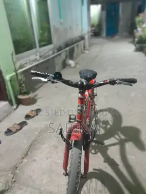 Bicycle for sale