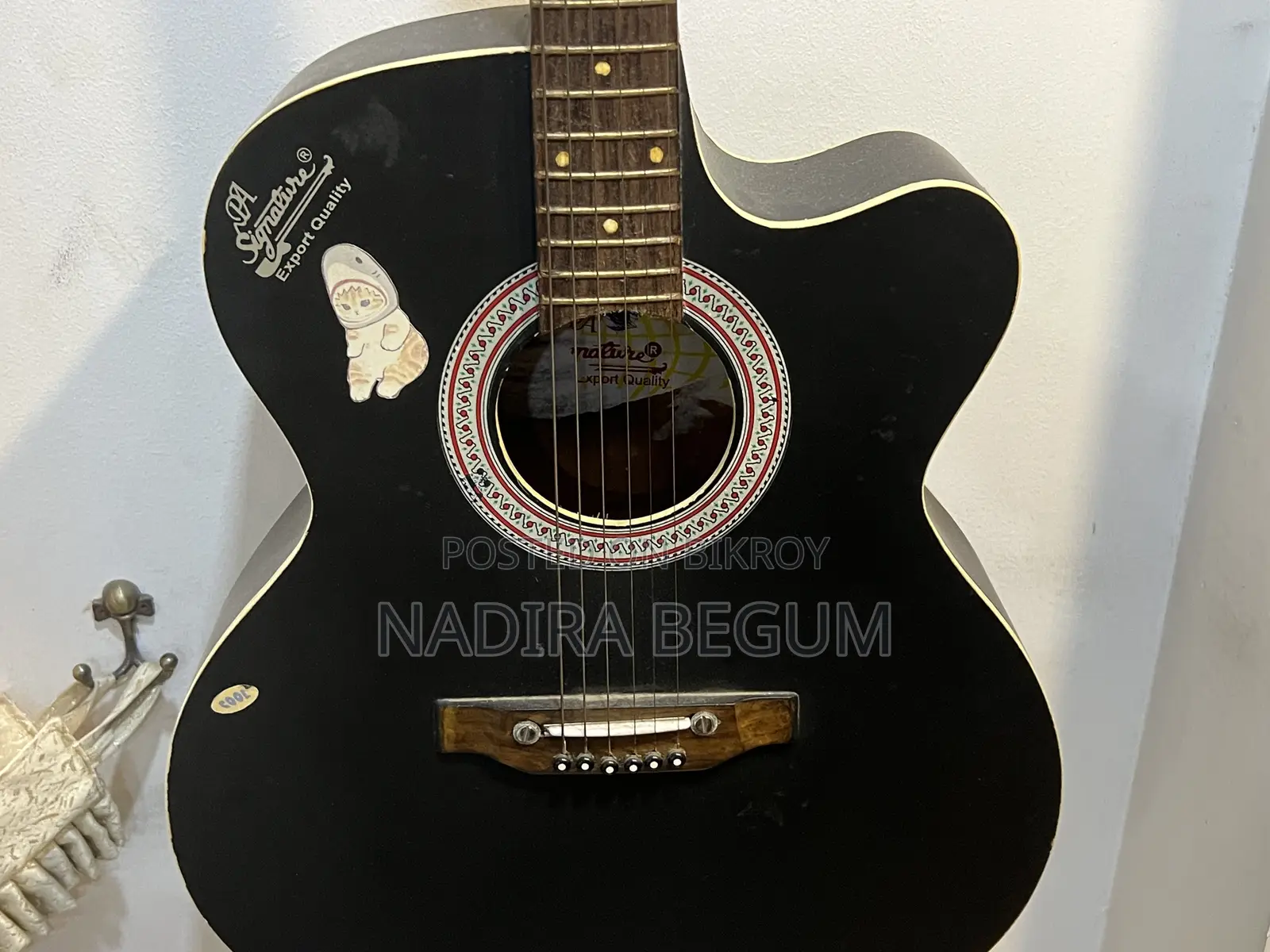Acoustic Guitar