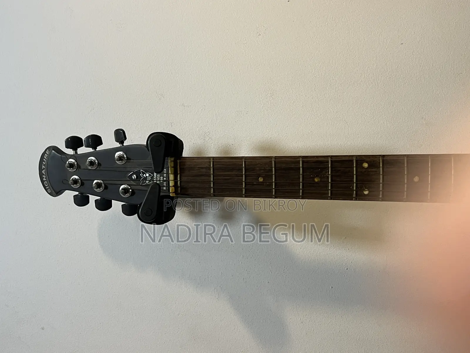 Acoustic Guitar