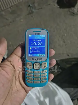 Samsung Metro 313 (Used)