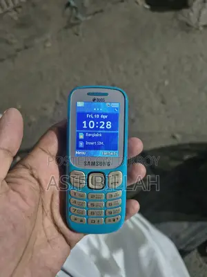 Samsung Metro 313 (Used)