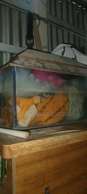 একুরিয়াম