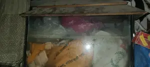 একুরিয়াম