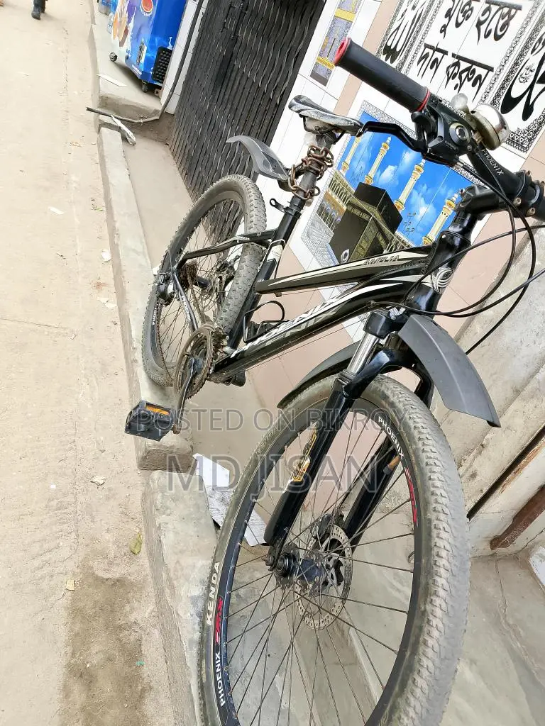 Aluminum Bicycle