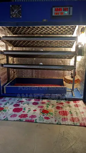 ডিম থেকে বাচ্চা ফুটানোর মেশিন। ইনকিউবেটর