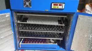 Egg Hatching Machine - Incubator