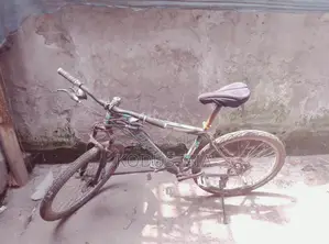 Gear Cycle