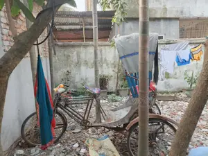 Battery-Operated Rickshaw