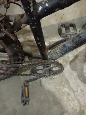 Bicycle for Sale