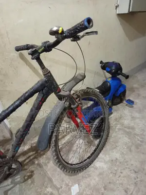 Bicycle for Sale