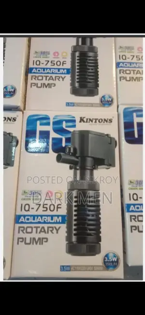Filter Pump