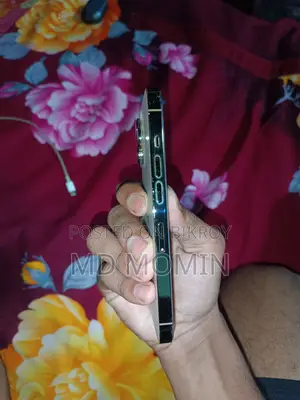 Apple iPhone 13 Pro . (Used)
