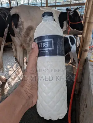 ১০০% খাঁটি গরুর দুধ