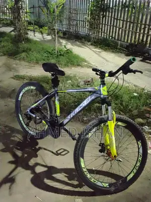 Kiesel Bicycle for Sale