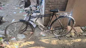 বাই সাইকেল